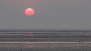 Tideland sunset