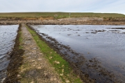 low water - the way to the Brough of Birsay