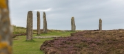 Ring of Brodgar