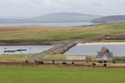 Churchill Barrier 3