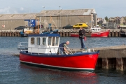 busy harbour (Kirkwall)