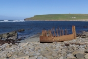 flotsam at Marwick Head