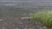 Rain Filling ("Feldsee" also "Feldbergsee")