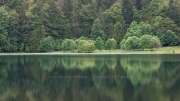 Feldsee Reflections
