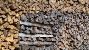 Timber Store