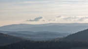Bavarian Forest evening