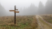 Signposted - Leading out of the fog