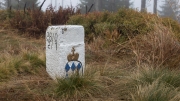 Bavarian Border - Historic Border Stone D 28 2 C 1765