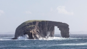Dore Holm