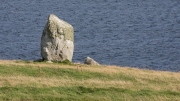 Busta Standing Stone