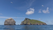 Stac Lee (172 m) and Boreray