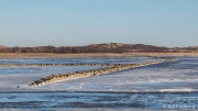 Ice gripped tidal flat