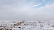 Ice gripped tidal flat